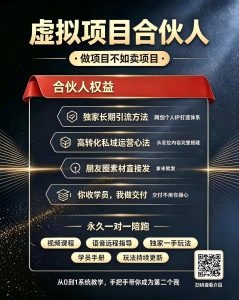 图片[1]-虚拟项目合伙人，月入5W+-优优云网创